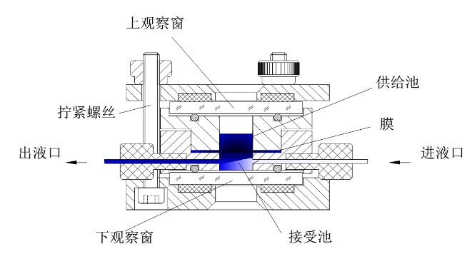 图片8